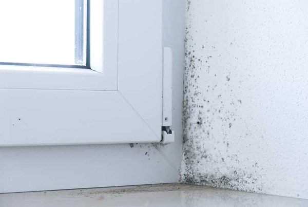 Damp in Spanish homes. Poor ventilation of premises. Fungus and mould