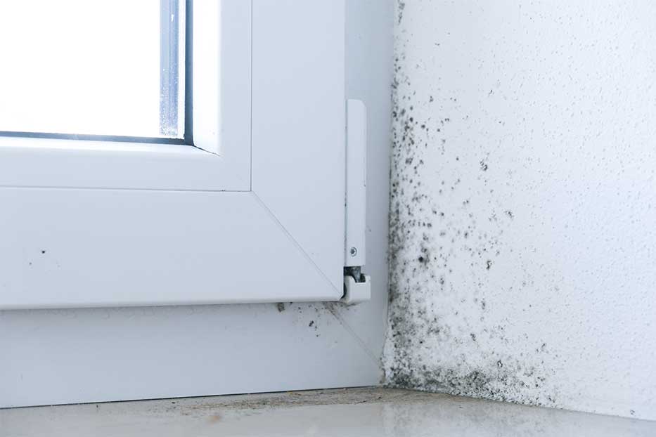 Damp in Spanish homes. Poor ventilation of premises. Fungus and mould